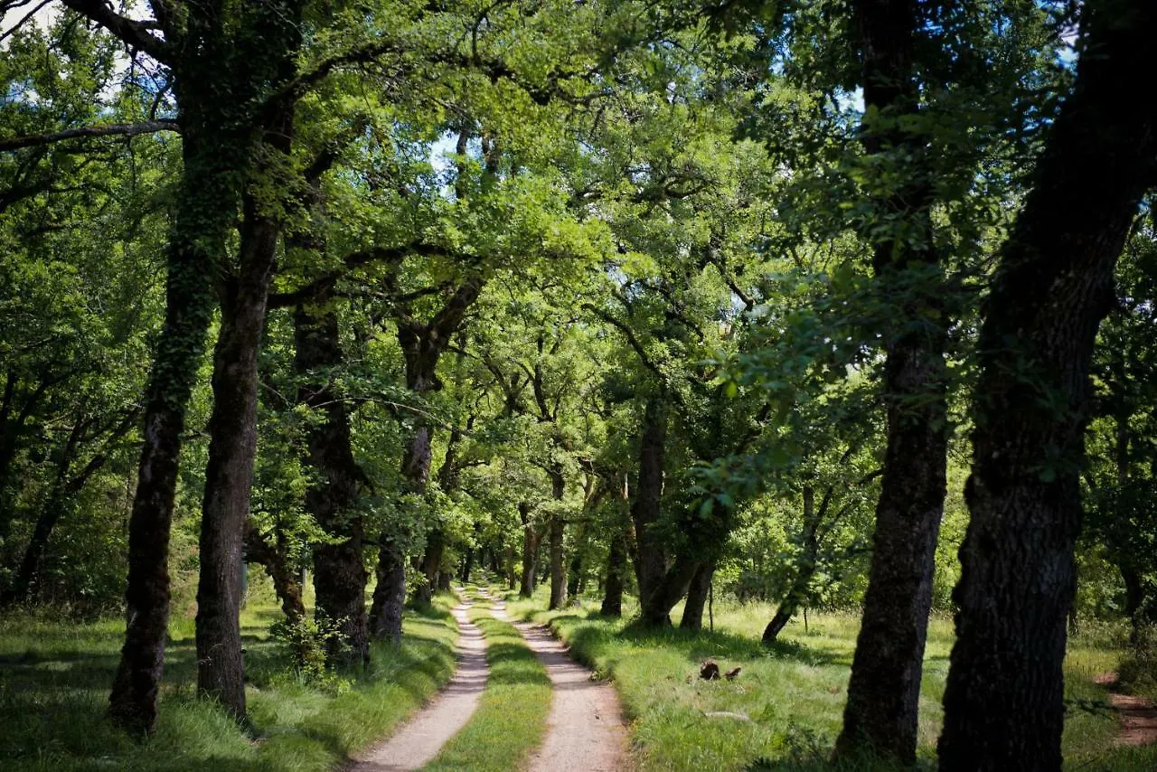 Domaine De Bach Villa Cregols